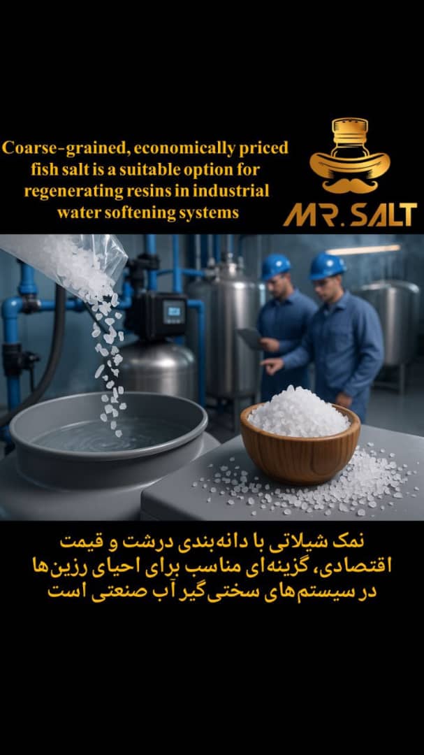 تصویر 2 از تولید نمک شیلاتی